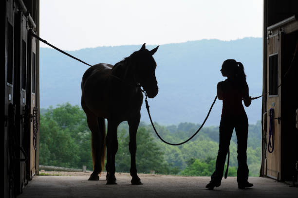 A horsewoman leading her horse through a sunlit barn aisle