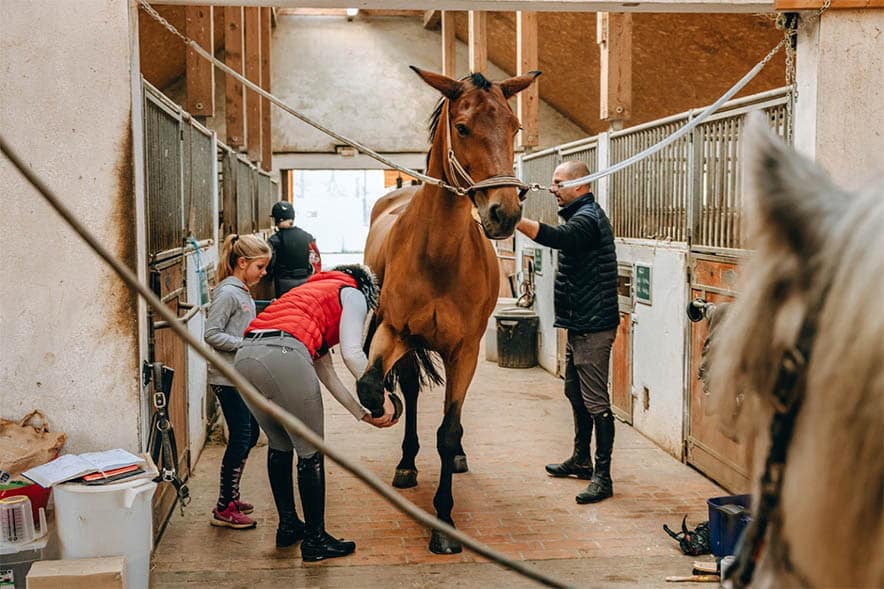 Boarders caring for a horse in a busy stall aisle